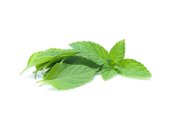 mint leaves isolated isolated on white