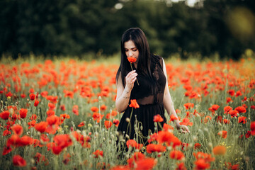 Beautiful long hair woman in a black dress in a poppy field