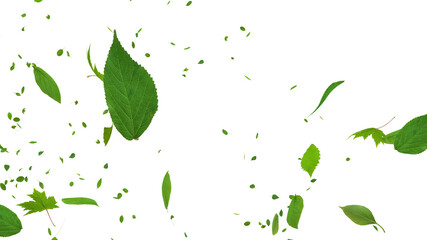 Green Flying leaves leaf 3D illustration background