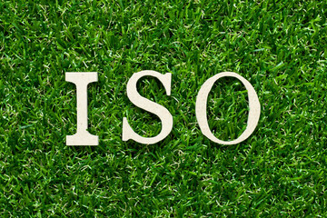 Wood alphabet letter in word iso on green grass background