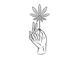 Hand with leaf of Cannabis Sativa black on white background vector illustration