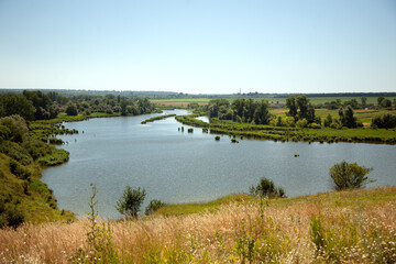 Fototapeta premium View from the mountain to the spilled river, the shore in summer flowers. Ukrainian landscape