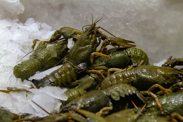 Some crayfishes on the market