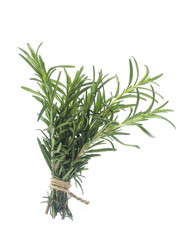 rosemary isolated on white background