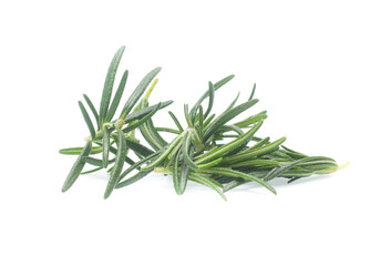 Fototapeta premium rosemary isolated on white background