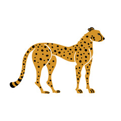 Cheetah cartoon vector illustration. Hand drawn safari animal, flat style, full body, side view.