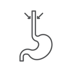 Esophagus vector icon symbol anatomy isolated on white background