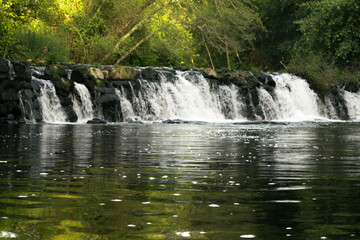 waterfall in the forest