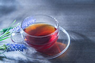 光が差し込む透明グラスに入った紅茶。癒し・休憩・カフェ・ティータイム