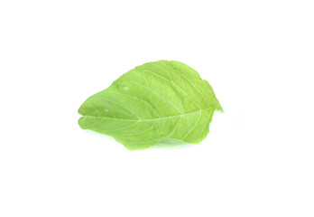 Spinach leaves close up isolated on white