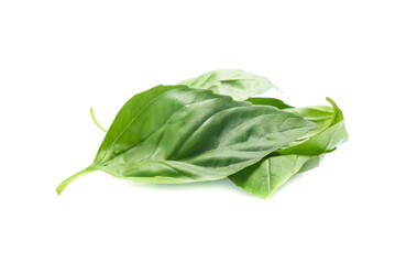 Close up green basil herb leaves isolated on white background.