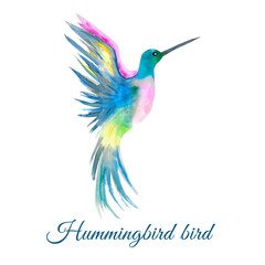 Watercolor illustration. Image of a bright hummingbird bird in a watercolor style. Bird in blue. Element for use in design.