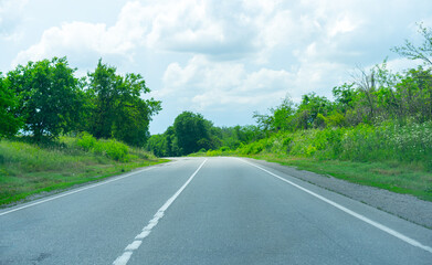 Fototapeta premium Turn of the highway among plants