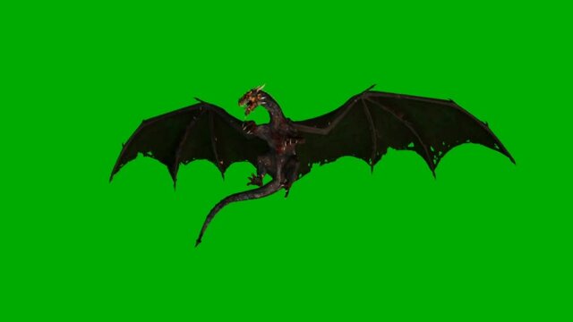 Dragon green screen