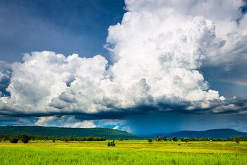 Rain Clouds Over Farmland