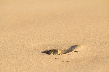 Footprint on sand beach