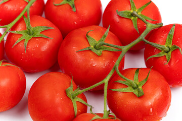 organic tomatoes on a white background
