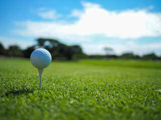The white golf ball sits on the Tee on a green lawn, blue sky