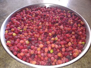red currant in a bowl