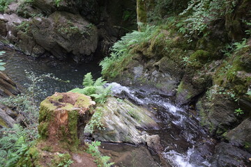 Wasserfall im Enderttal bei Maria Martental, Eifel