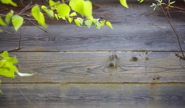 Rustic weathered wooden boards texture background. Aged gray wood plank fence surface, vintage natural timber backdrop with copy space