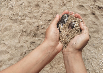 Girl on the beach in her hands holds seashells and sand close-up.