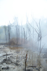 Rotorua, a town set on its namesake lake on New Zealand's North Island, is renowned for its geothermal activity and Maori culture. 