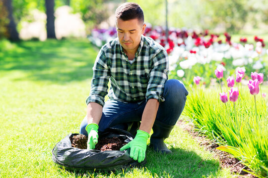 gardening and people concept - middle-aged man with soil in bag and flowers working at summer garden