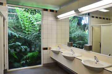 Beautiful toilet with a big window that can see tropical fern leaves and new zealand plant.