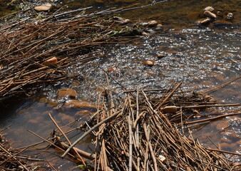 The industrial brownish river water into the sea in Sapporo Japan