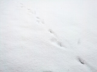 Traces of an animal in the snow, abstract nature.