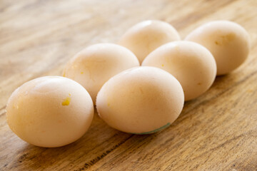 fresh chicken eggs