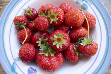 fresh organic strawberries