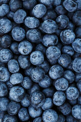 Blueberries in the form of a full-screen texture.