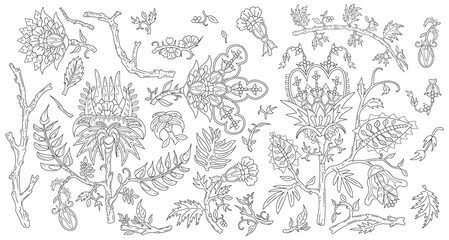 Set of decorative fantasy flowers and branches inspired indian paisley culture. Floral elements in oriental style. Monochrome line-art with editable stroke