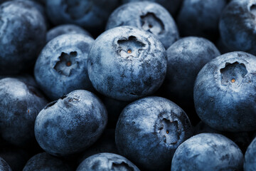 Blueberries close-up in full screen with dewdrops.