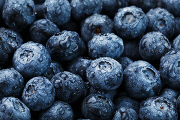 Ripe blueberries in the form of a full-screen texture with drops of dew.