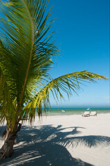 Naklejka na ściany i meble Palm Trees And Sunbathing On The Beach With Blue Sky - Holbox Island, Mexico - the ideal place to relax