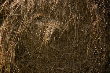 Abstraction from a tree