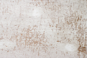 Grey grunge textured wall. old wall inside