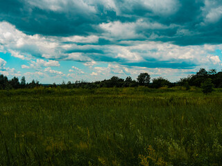 Landscape of the Botanical Garden in Radzionków. Free entry space.