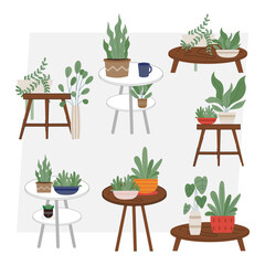 Beautiful pottery plants set on white background vector illustration flat design 