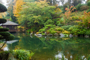 Amazing  pond and nature , carps KOI  in japanese garden in Kaiserslautern