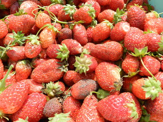 strawberries on market