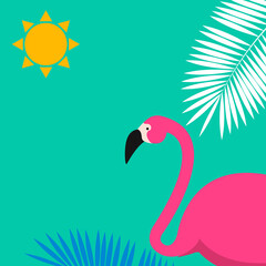Cartoon Pink Flamingo colored background. Vector Illustration