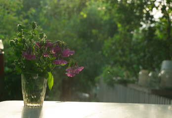 Glass with tender flowers in the table at the daylight. Floral background with the copy space. Bouquet in the mug.