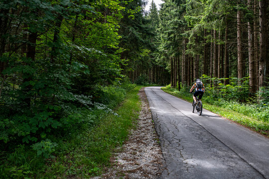 Mountainbikefahrer fährt in einem Kiefernwald den Berg hinauf 