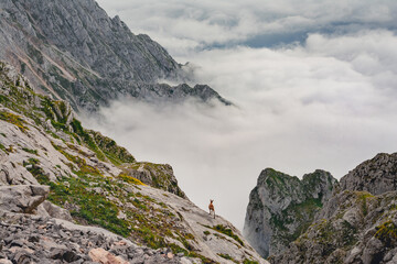 Fototapeta na wymiar Rebeco asomado al abismo sobre la roca caliza con un mar de nubes rodeando las grises montañas de los Picos de Europa en un día de verano nublado