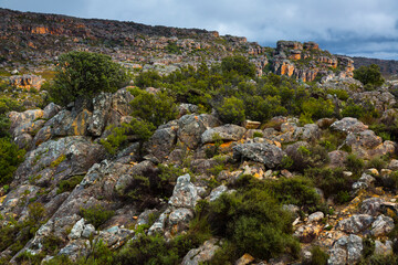 Pakhuis Pass, Clanwilliam, Cederberg Mountains, Western Cape province, South Africa, Africa