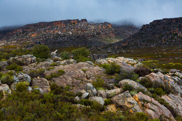 Pakhuis Pass, Clanwilliam, Cederberg Mountains, Western Cape province, South Africa, Africa